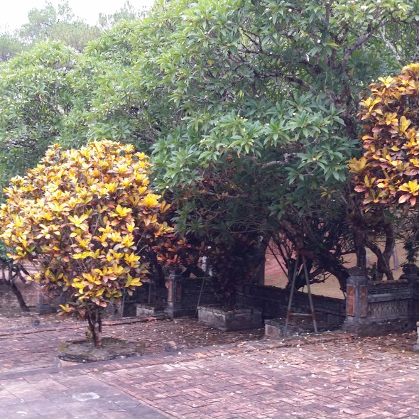 20150726_172625