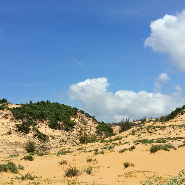 20150811_103744_Richtone(HDR)
